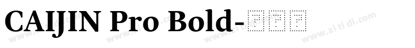 CAIJIN Pro Bold字体转换